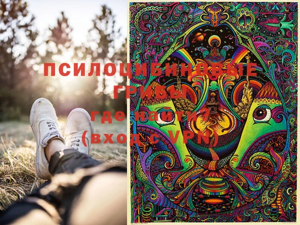 гашик Белокуриха