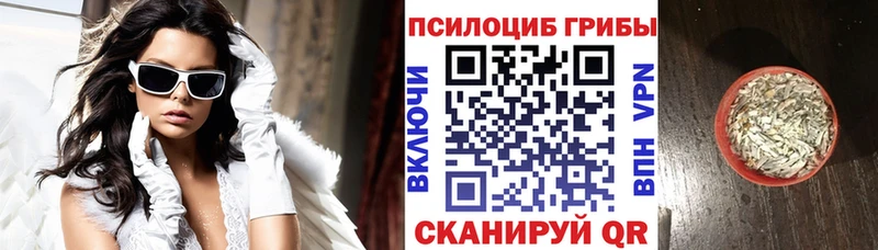 Галлюциногенные грибы прущие грибы  блэк спрут ССЫЛКА  Старица 